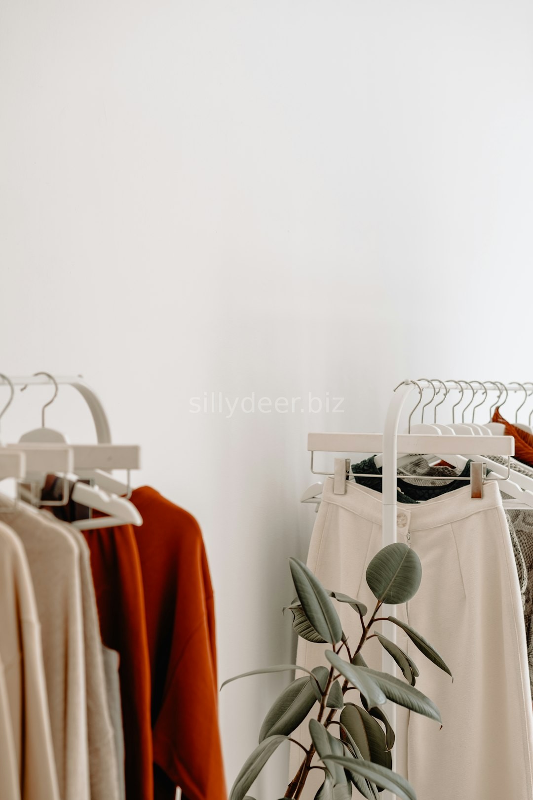Gallery 6